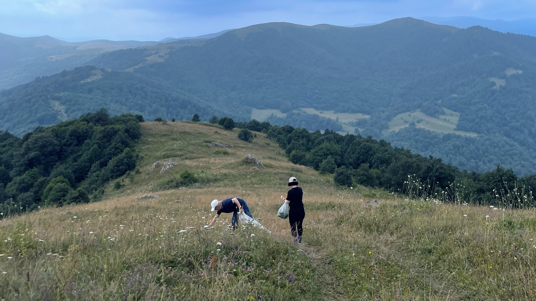 Unlocking the Benefits of Pure, Natural Superfood Powders Without Additives